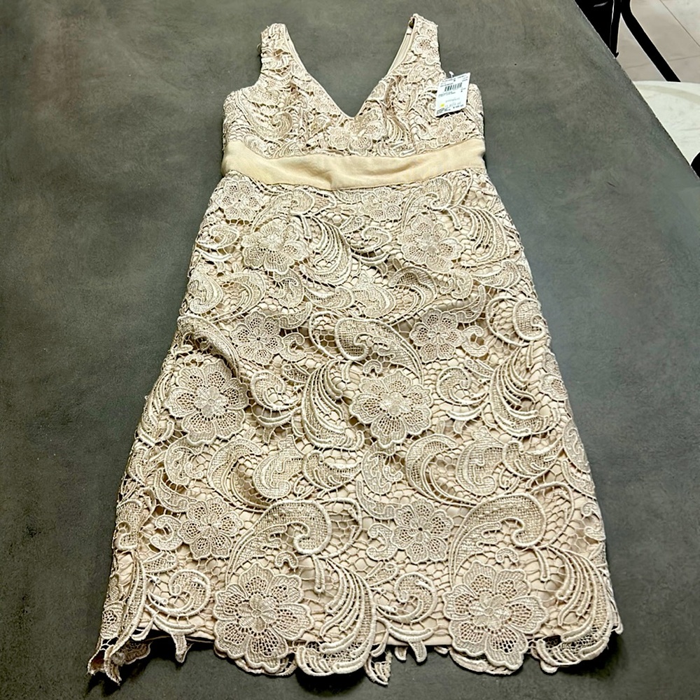Lace fitted formal dress.